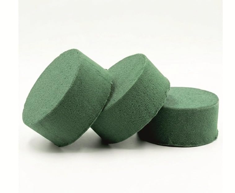 Floral Foam Round Shape, Green, for Fresh Flower Arrangements, 6.4cm x 3.4cm, Pack of 3 pcs.-image-48