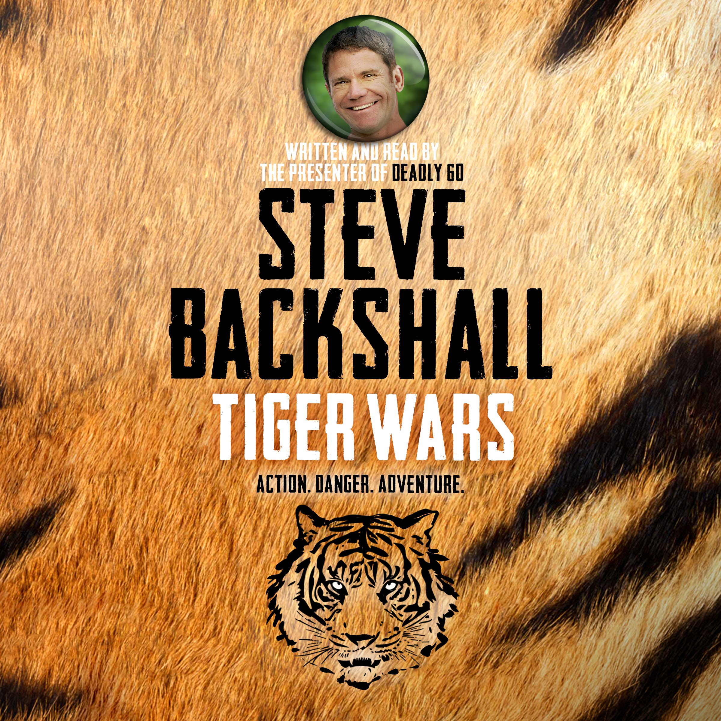 Cover art for The Falcon Chronicles: Tiger Wars