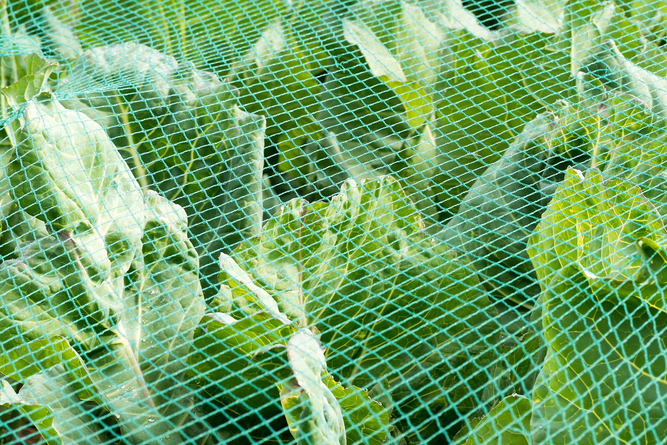 Vielseitiges Teichnetz 4m x 8m grün 17mm x 17mm Masche I Aquagart Laubschutznetz Teich Abdecknetz Vogelschutznetz Gartennetz Baumnetz Reiherschutz Beet-Netz Laubnetz Silonetz Schutznetz Teichabdeckung