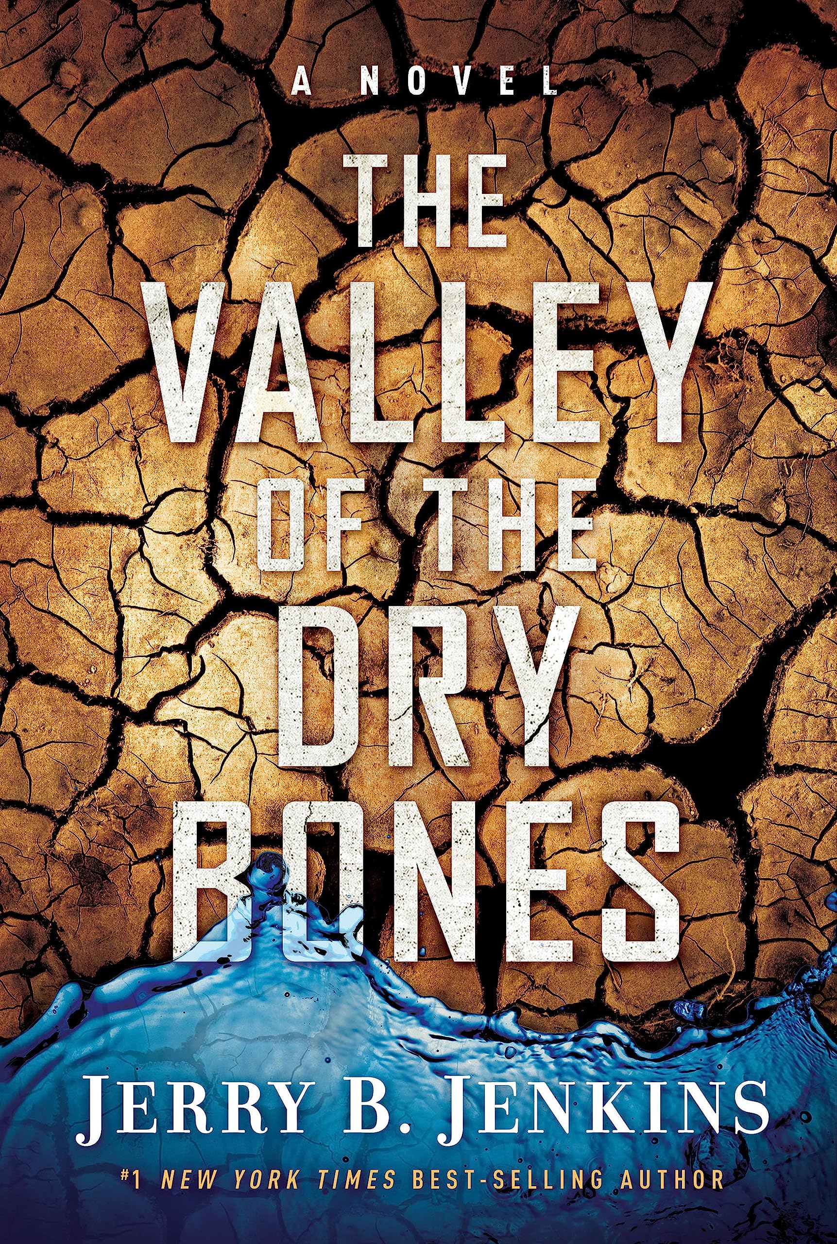 Jerry B. Jenkins - The Valley of Dry Bones - Paperback Novel