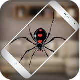 Spider On Hand: Simulator