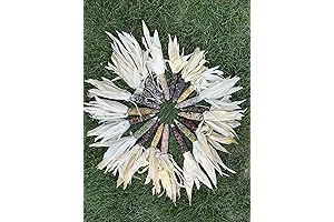 Iowa Mini Indian Corn: Vibrant Fall Decorations for Outdoor Embellishments