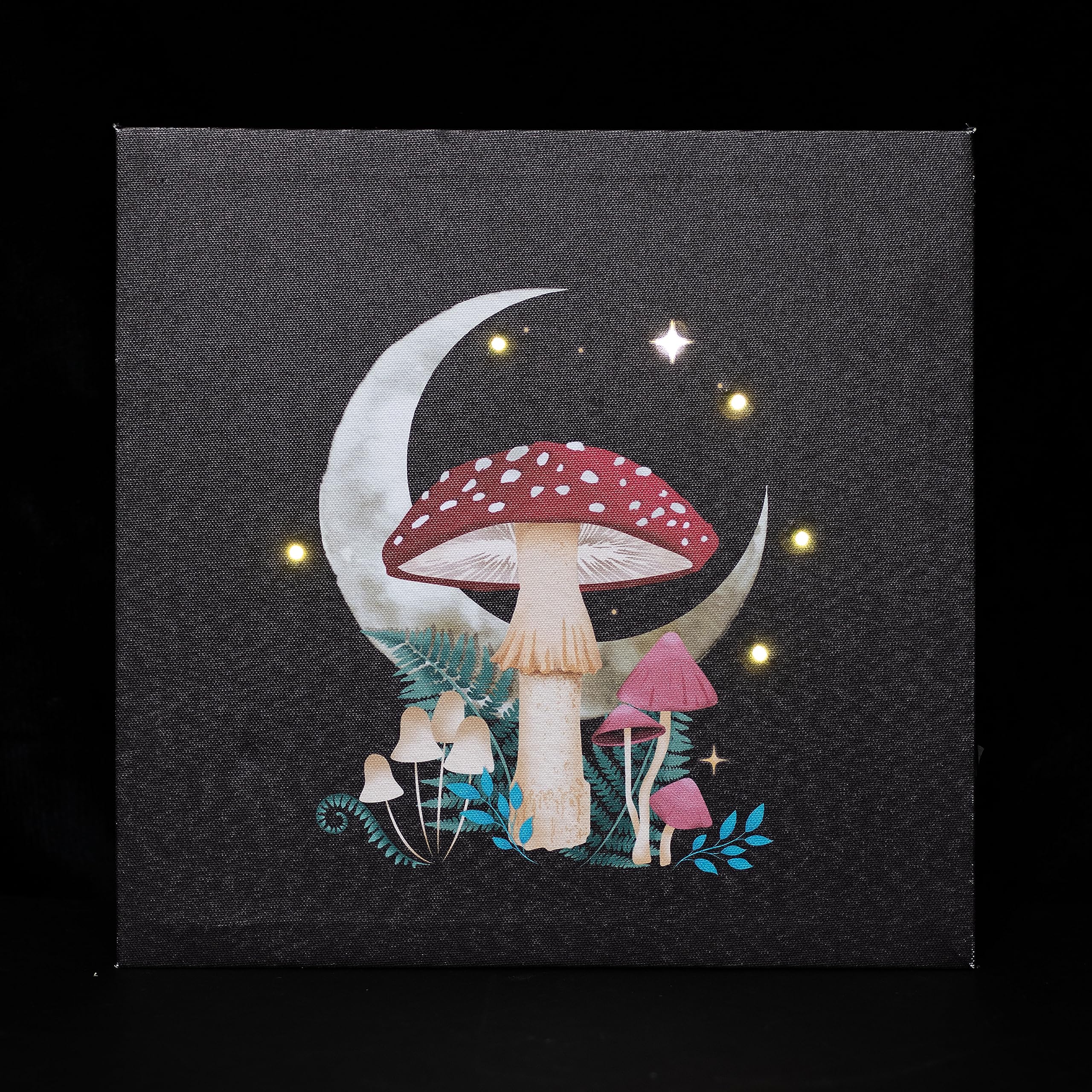 Dark Forest Mushroom & Crescent Moon Design  Light Up Plaque Canvas Picture
