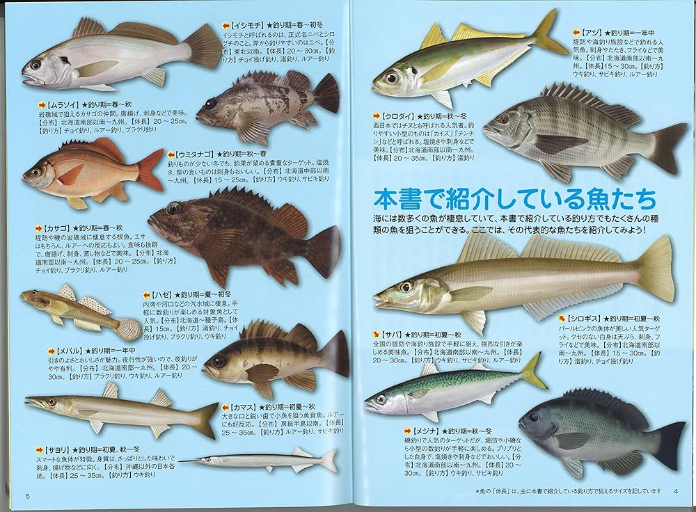 世界一やさしい海釣り入門 最高においしい魚たちを最高に楽しく釣る