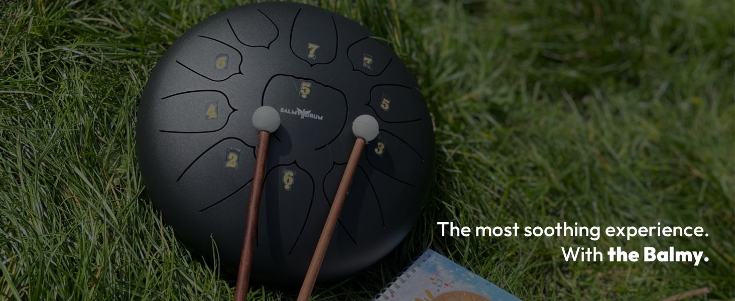 【値下げ】BALMYDRUM 11 Note 10インチ スチールドラム Amazon.com: The Balmy Drum - 11 Note 10 Inch Steel Tongue