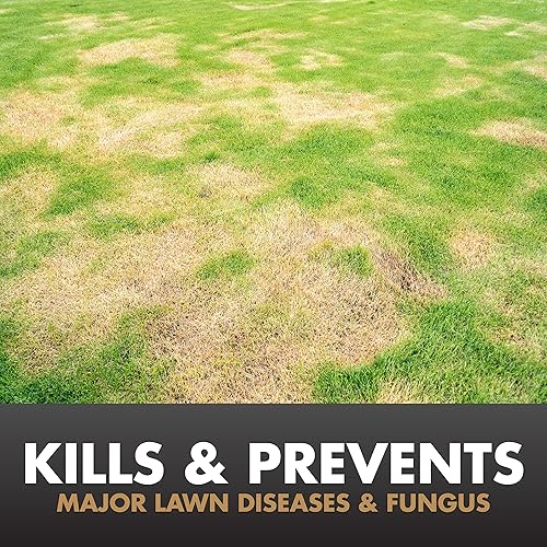 Miniatura 9 de Spectracide Immunox Fungus Plus para control de insectos de césped Listo para rociar 32 onzas paquete de 1 32 onza