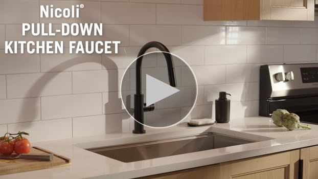 Delta Nicoli Black & Gold Kitchen Faucet with Pull Down Sprayer