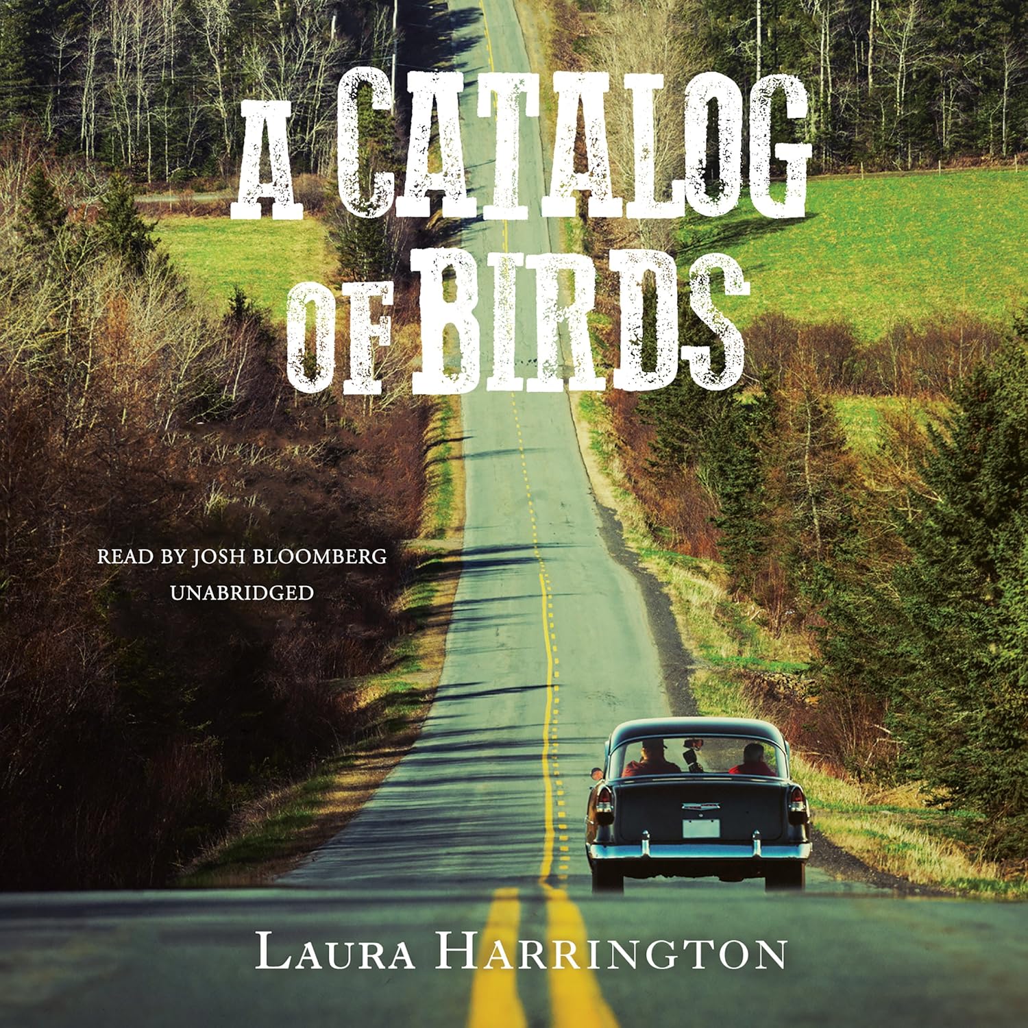 A Catalog of Birds (Audible Audio Edition) Laura