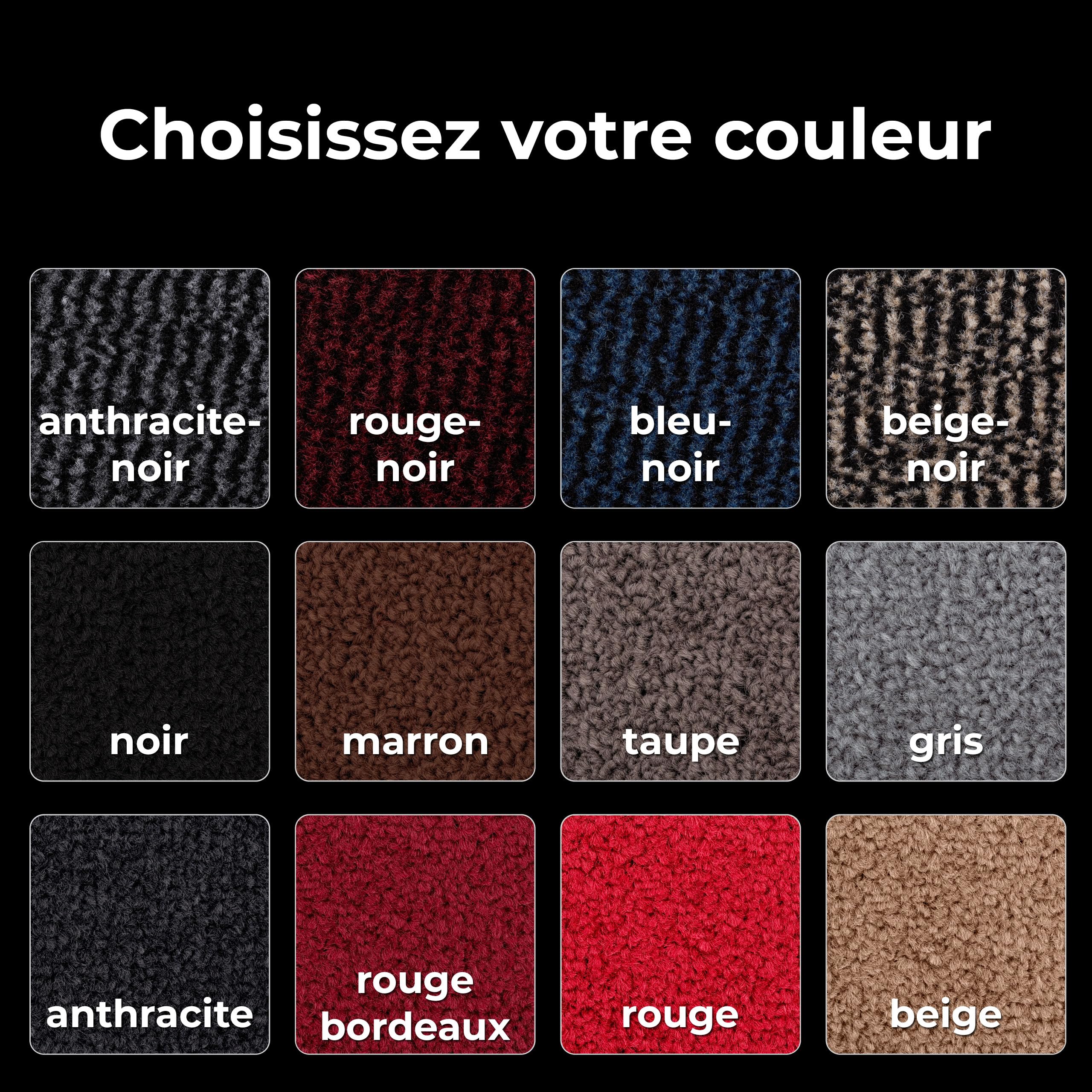 Paillasson Professionnel Carpet Diem - Tapis D'entrée Absorbant 40x60cm - Noir Anthracite Pour Intérieur/extérieur