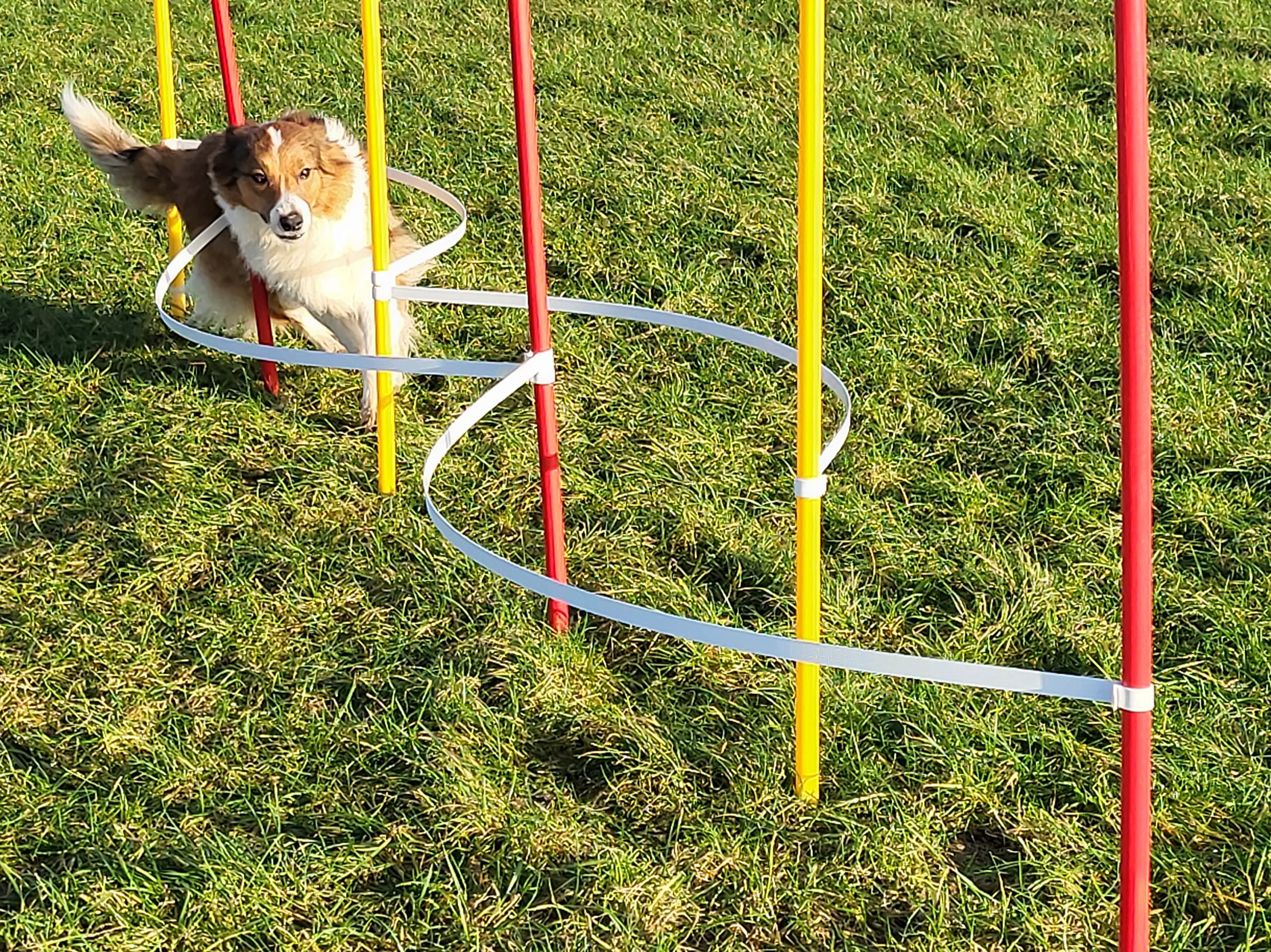 Agility - Slalom - AUSBILDUNGSSET MIT 4 SLALOMBÖGEN/TRAININGSBÖGEN + 6 SLALOMSTANGEN ROT/GELB