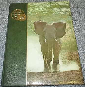 A1-FWoPUj6L._AC_UF350,