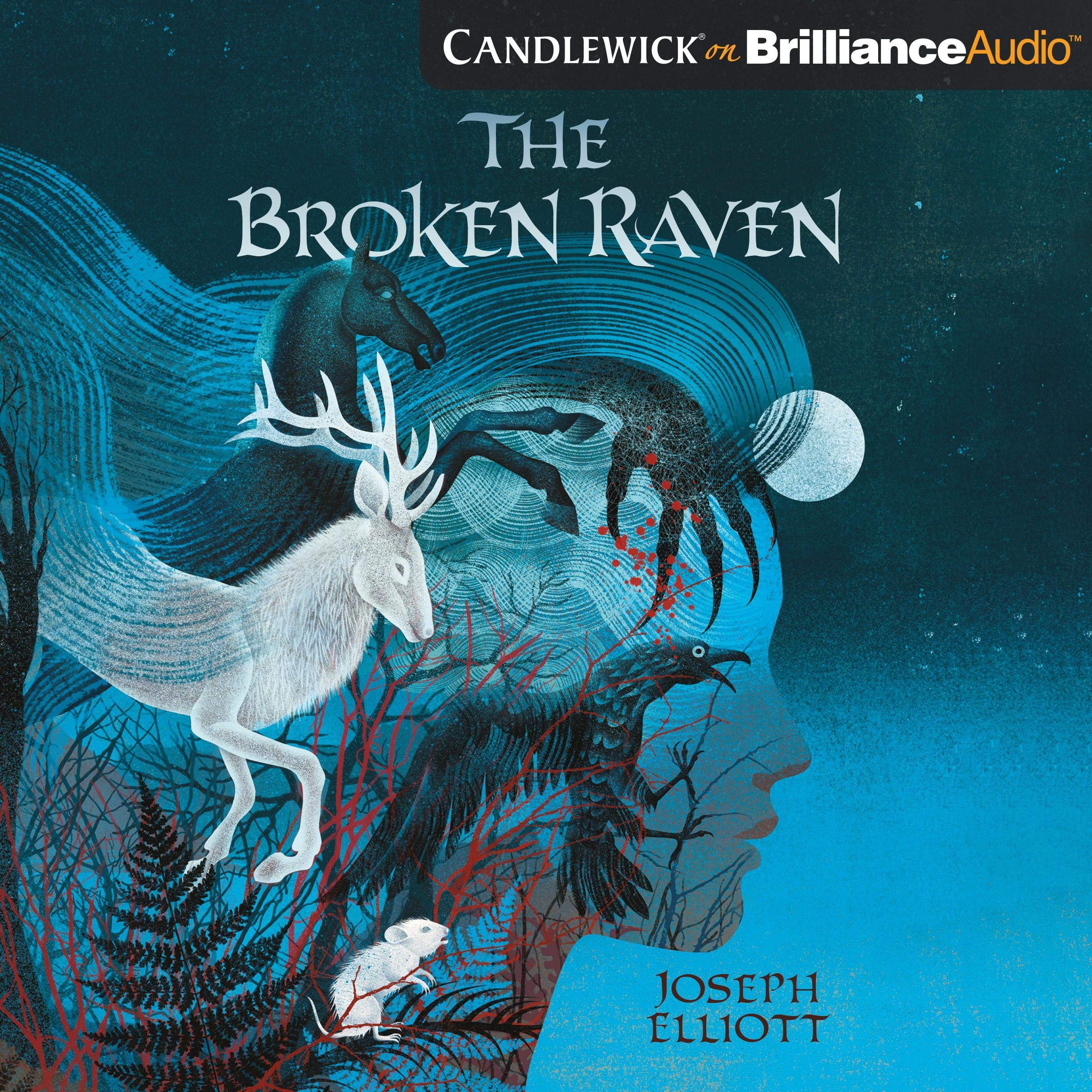 Cover art for The Broken Raven