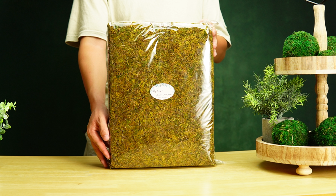 Amazon.com: BYHER 2.2LB Large Capacity Fake Moss for Plants Indoor