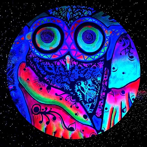 Miguel Campbell Flight School Repeat She Belief School Fun Shots Songs