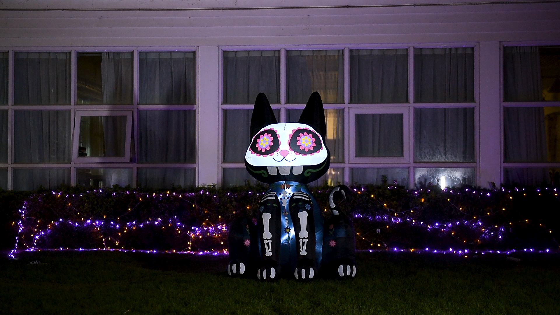 Décoration de jardin d'Halloween SINGAR, chat de sorcière géant gonflable en matériau Oxford, hauteur de 12 m, noir, certifié CE, ventilateur intégré