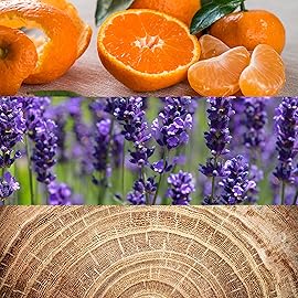 Calvin Klein Obsession for Men Eau de Toilette - Ambery Men\'s Cologne - With Notes of Bergamot, Mandarin, Lavender & Musk - Long Lasting Fragrance