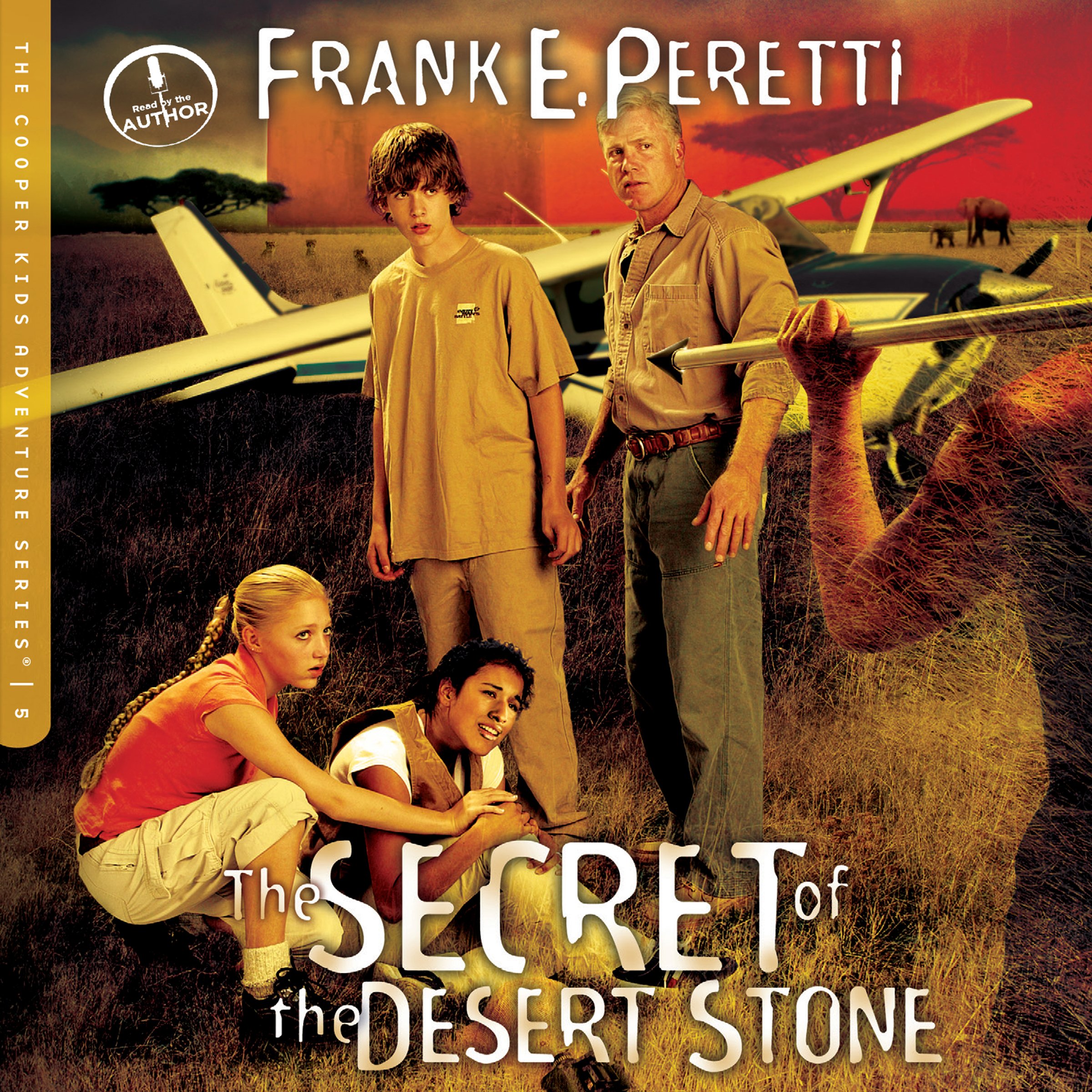 Cover art for The Secret of the Desert Stone