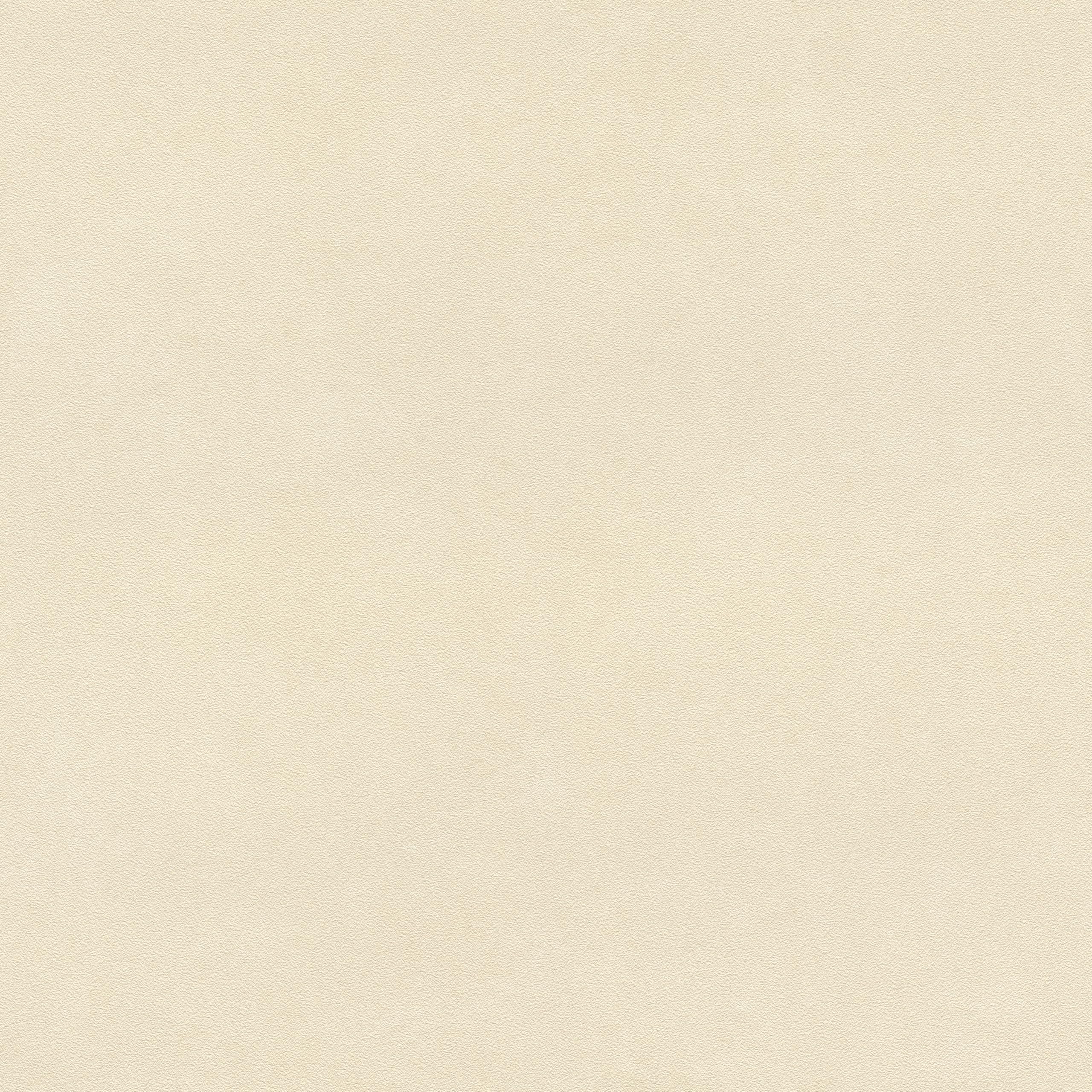 Rasch Sand Wallpaper 479485 Plain Non-Woven Wallpaper In With Fine, Grainy Structure 10.05 M X 0.53 M (L X W)