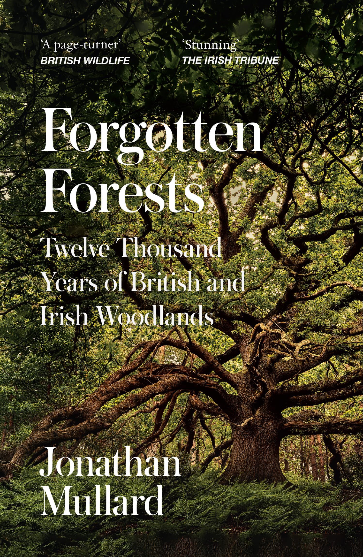 Forgotten Forests: A Comprehensive New History of Our Trees and Woodlands