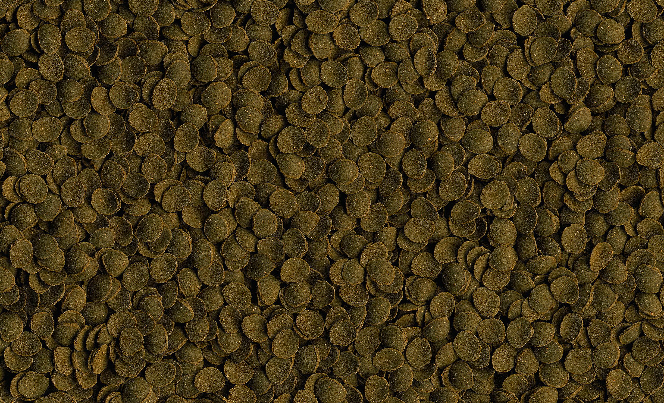 Tetra Plaffes Pleco, 100 ML