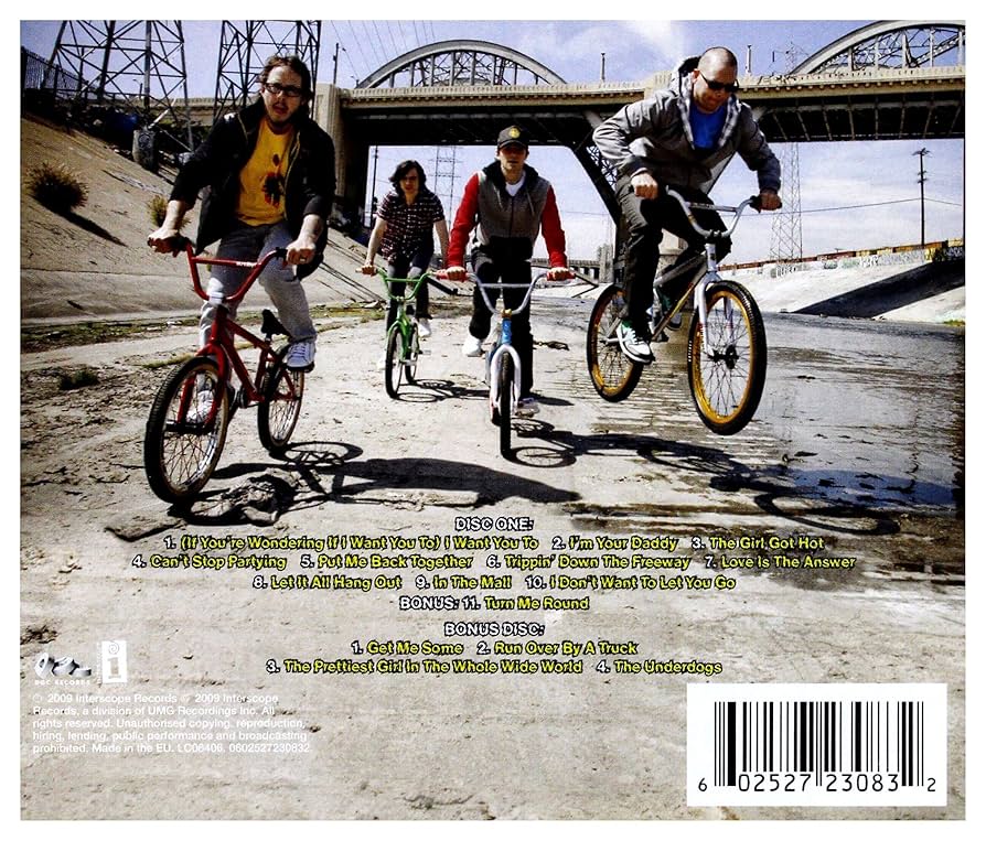 Weezer / Raditude LPレコード