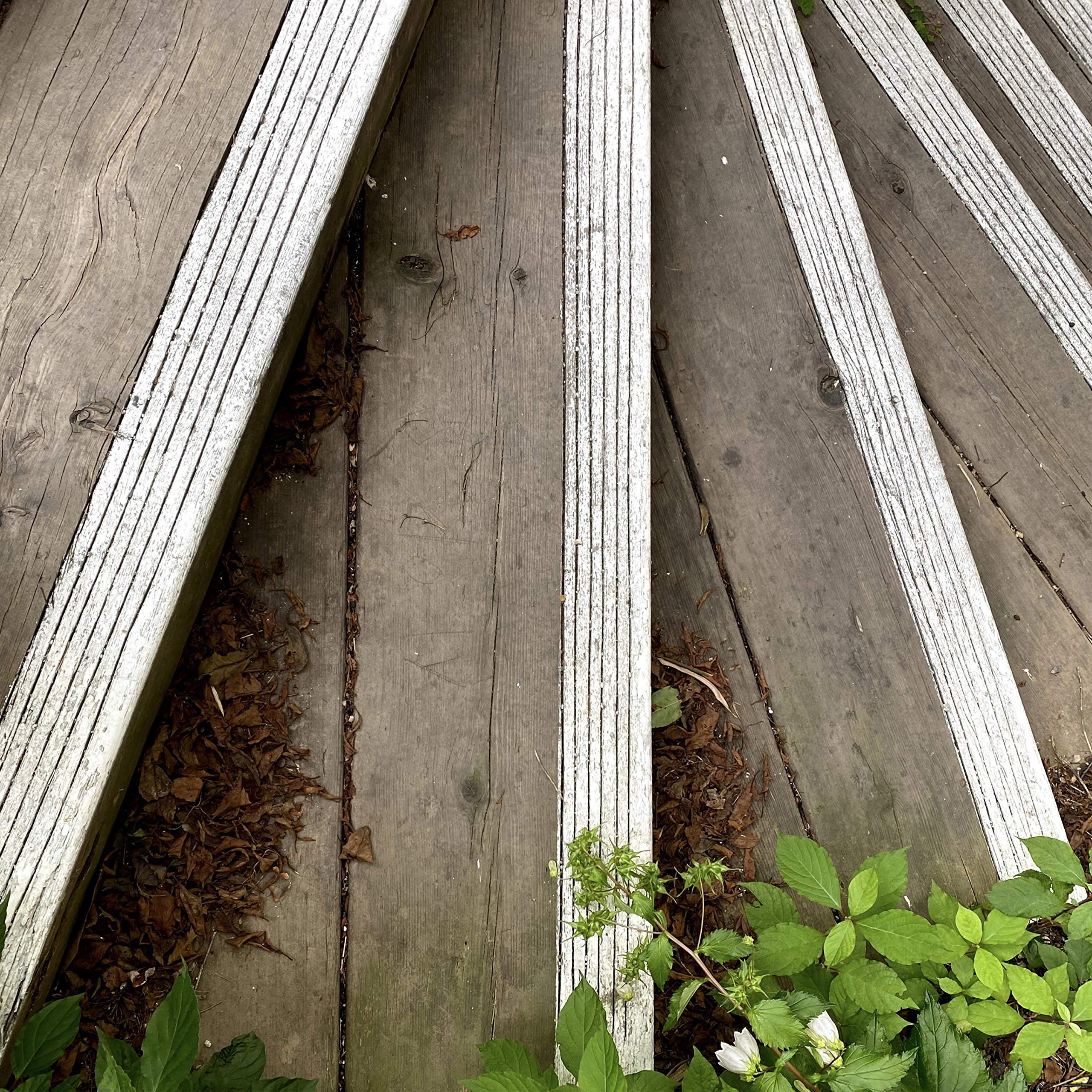 Every Breath You Take