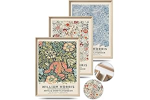 UPWOIGH Exquisite Framed Art Prints for Home Decor