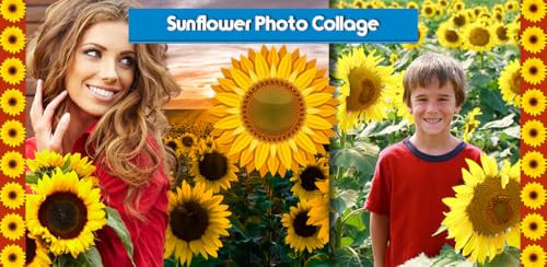 Colagem de fotografia de girassol