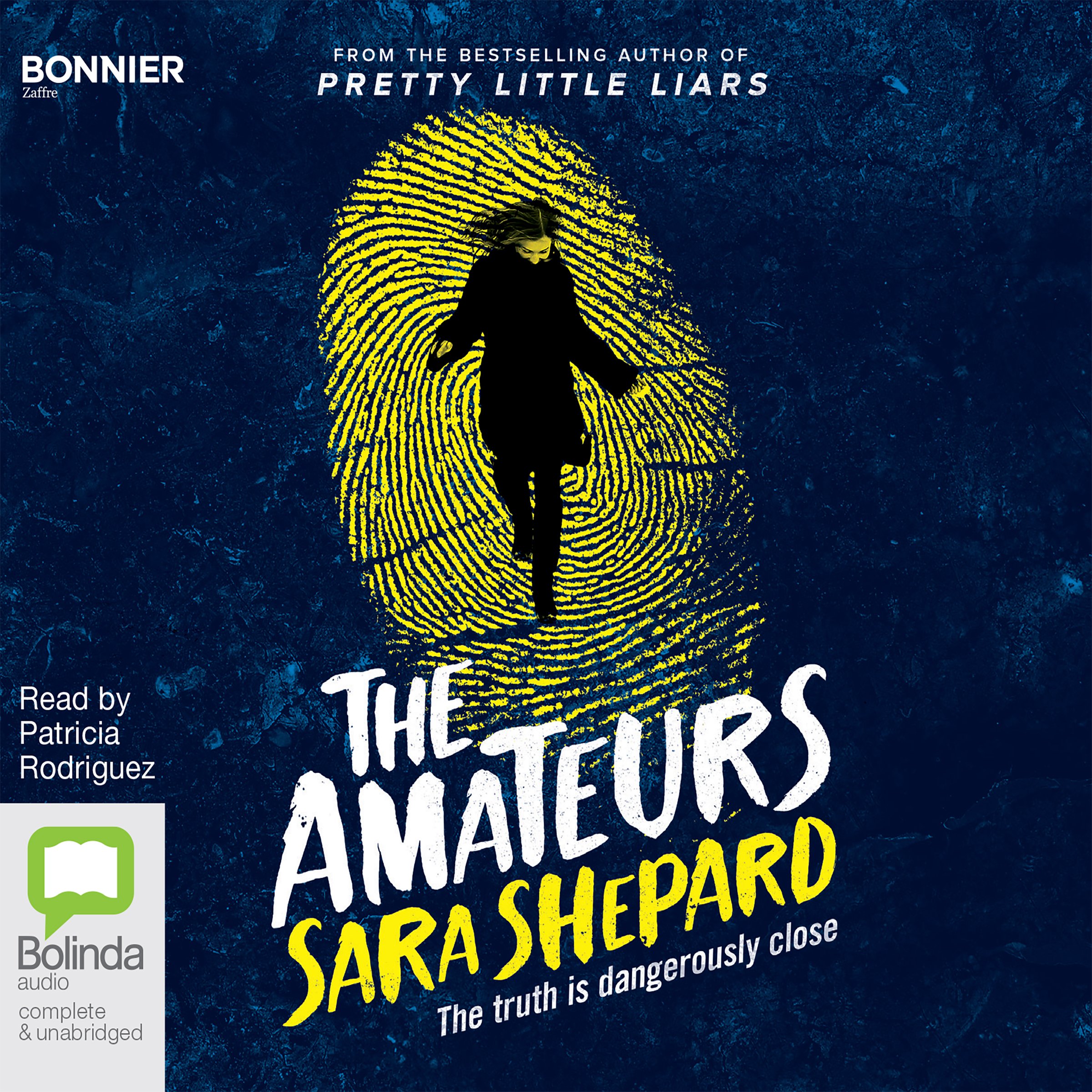 Cover art for The Amateurs