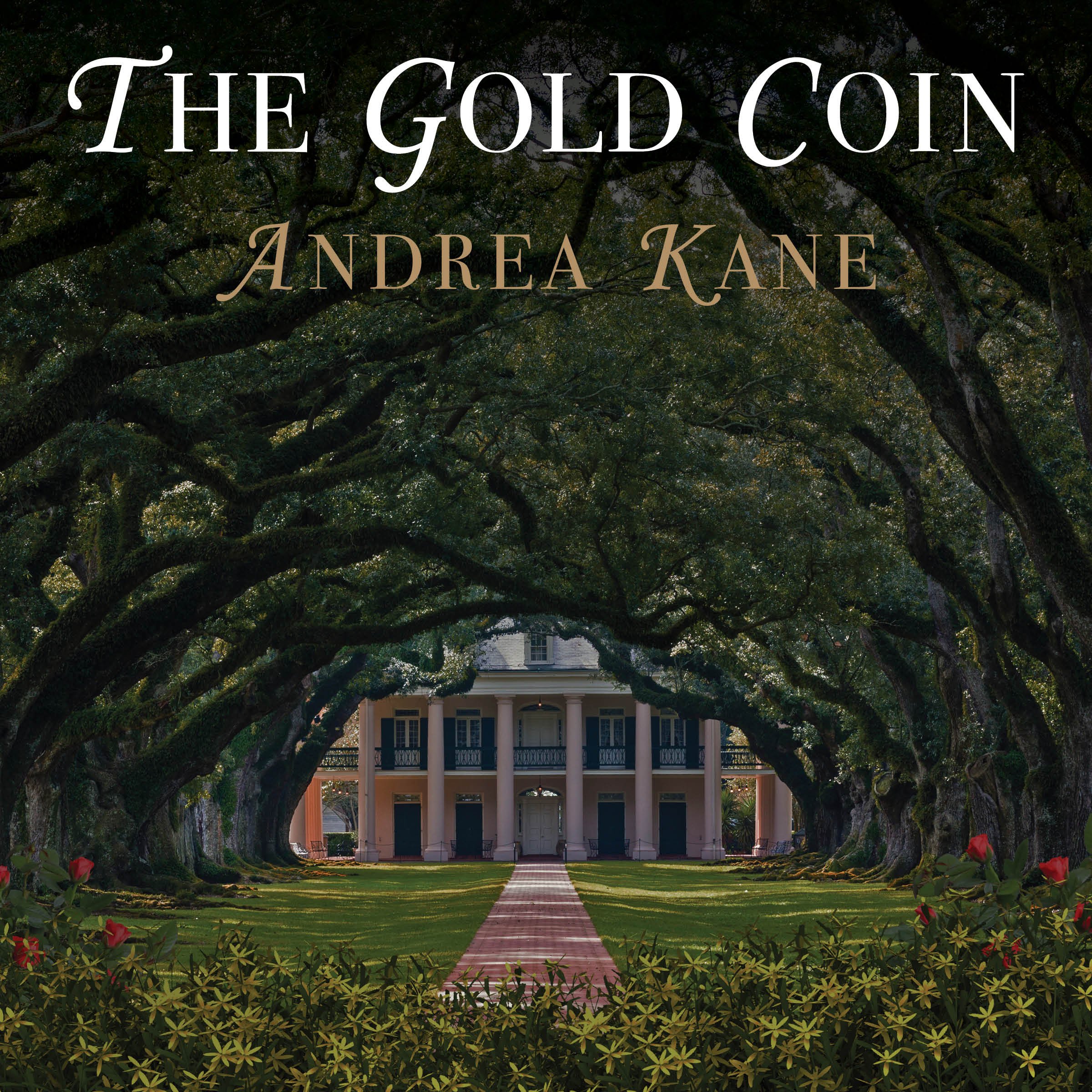 Cover art for The Gold Coin