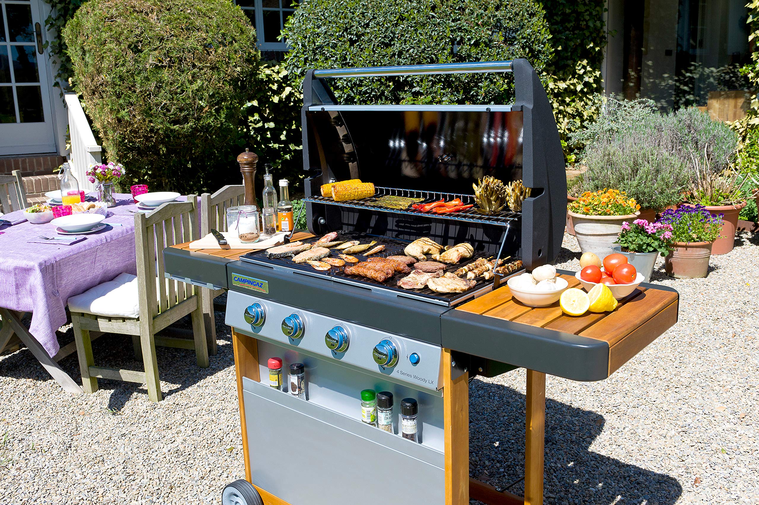 CAMPINGAZ Woody roštilj