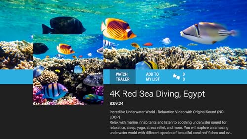Calm Sea Life - Vídeos de Aquário e Relaxamento Subaquático