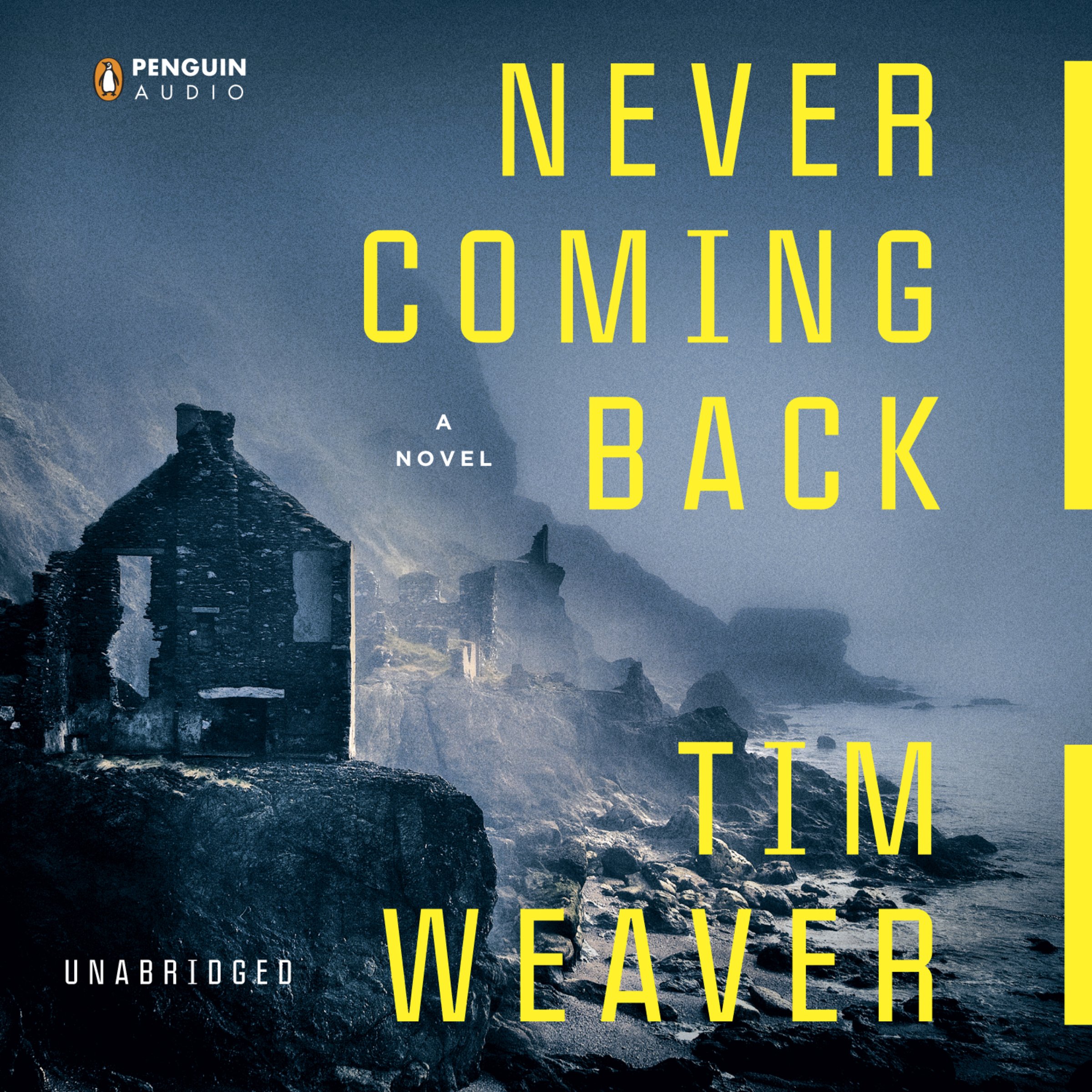 Cover art for Never Coming Back