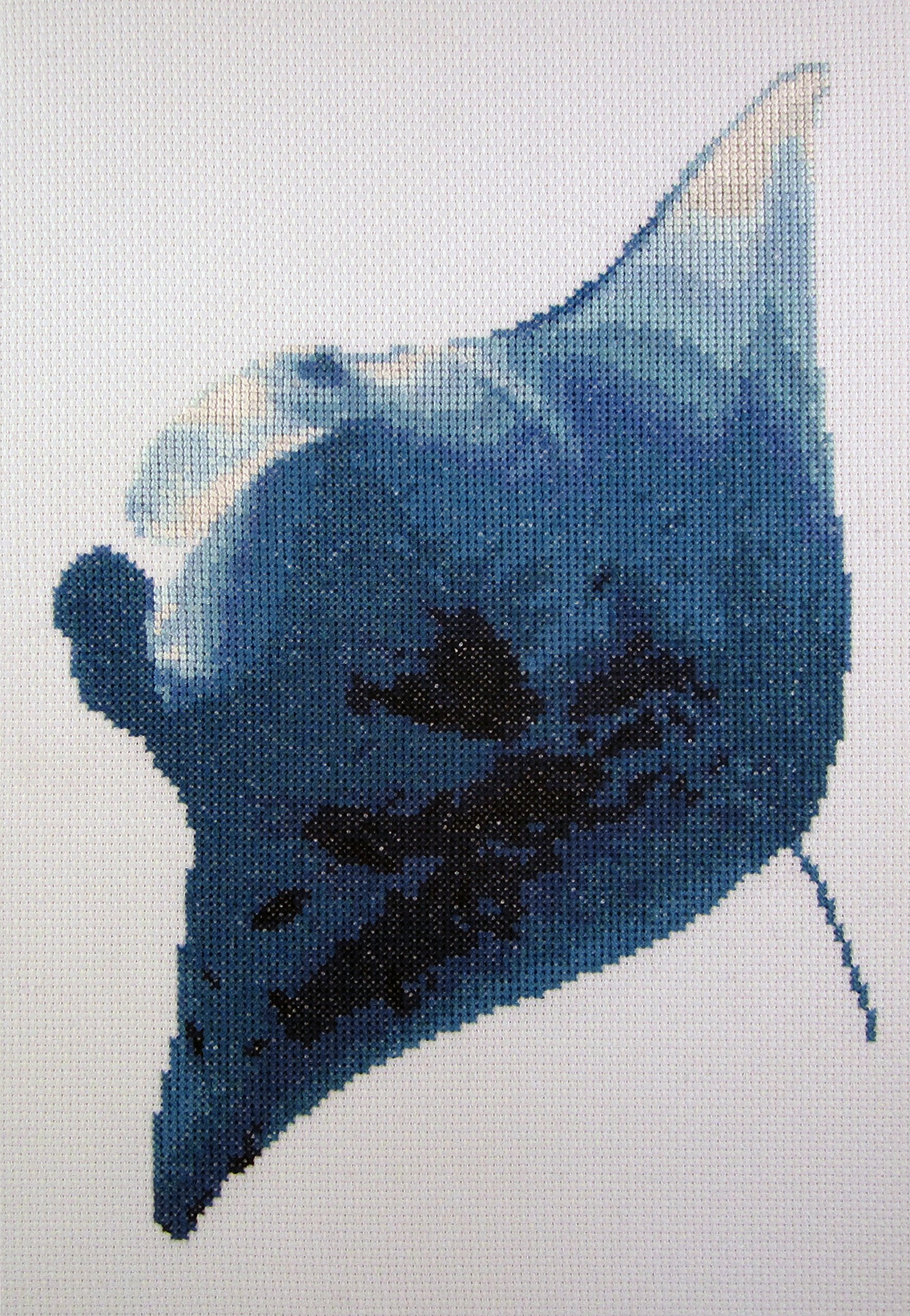 Flying Manta Counted Cross Stitch Kit By Orcraphics