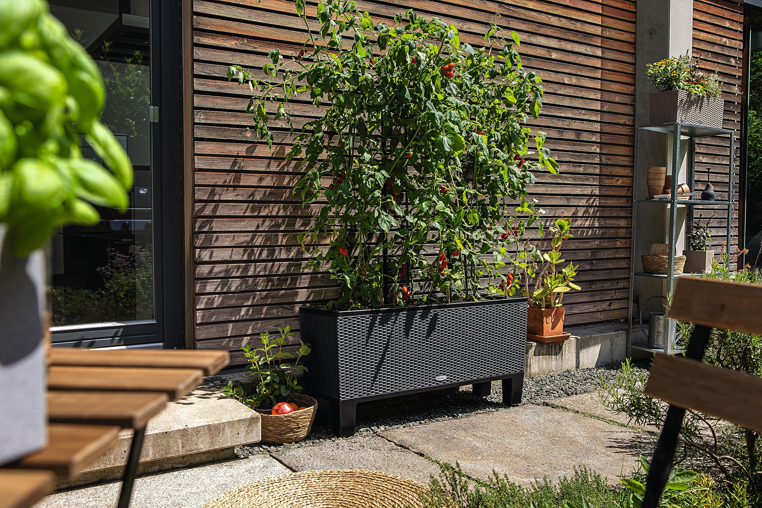 Lechuza Cottage Trio Pot de Fleurs d'Extérieur et d'Intérieur avec Réserve d'Eau Intégrée Granit 100 x 32 x 34 cm