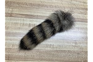 Tanned Raccoon Tail for Craft Projects: Add Wildlife Charm to Your Creations