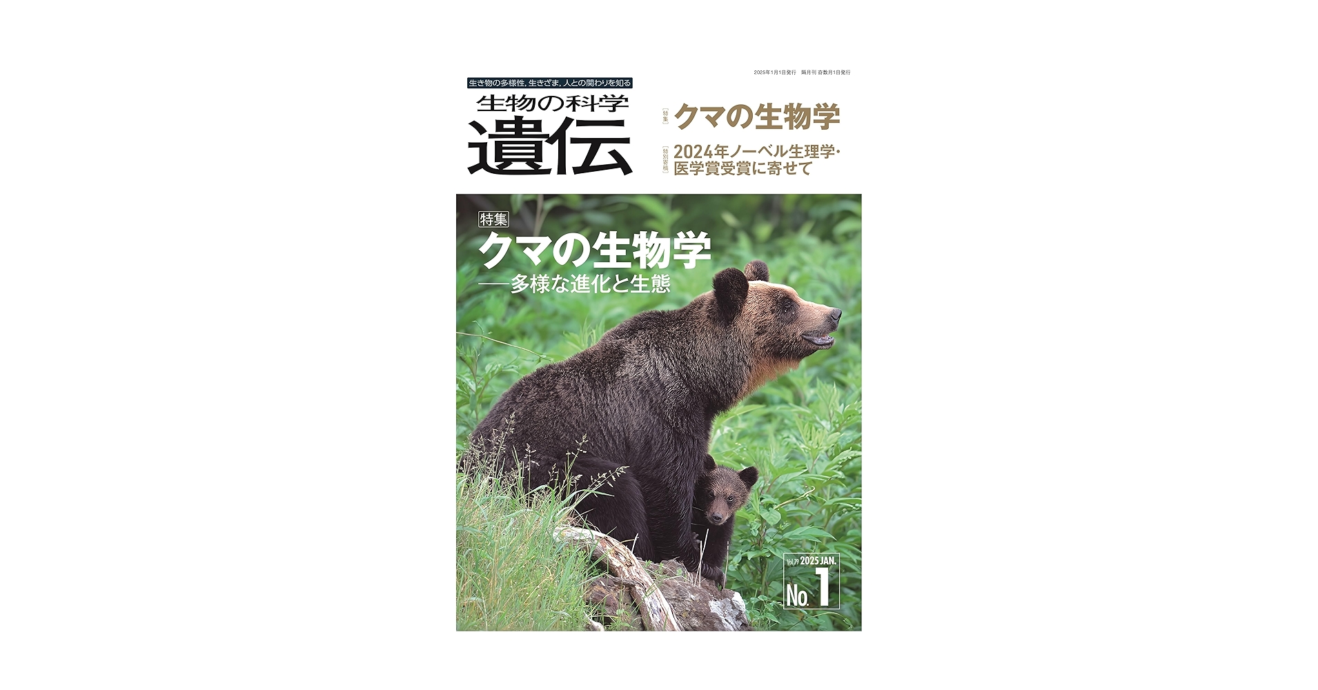 MI AT 生物の科学 遺伝 2019年11月 FV BU——まるちゃん様 MI AT 生物の科学 遺伝 2019年11月 FV BU——まるちゃん様 MI AT