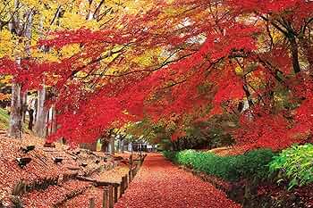 1.パズルの超達人 まとめ 日本の寺 日本の滝 日本の城 日本の風景 2016 1.パズルの超達人 まとめ 日本の寺 日本の滝 日本の城 日本
