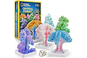 NATIONAL GEOGRAPHIC Kids Crystal Growing Kit: STEM Craft Kit Growing 6 Crystal Trees in Hours