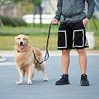 Vista 7 de iYoShop Correa de perro manos libres con bolsa con cremallera, asas acolchadas dobles y bungee duradero para caminar, trotar y correr con tu perro