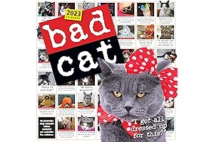 2023 Dog Shaming Calendar: Guilty Dogs, Hilarious Quotes