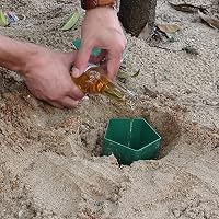 Beslands Csiga Csapda Szett Kerthez Vonzóanyaggal Hatékony Védekezés 4
