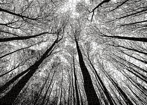 Miniatura 2 de Rompecabezas imposible de 1000 piezas rompecabezas difíciles desafiantes para adultos rompecabezas duros para adultos