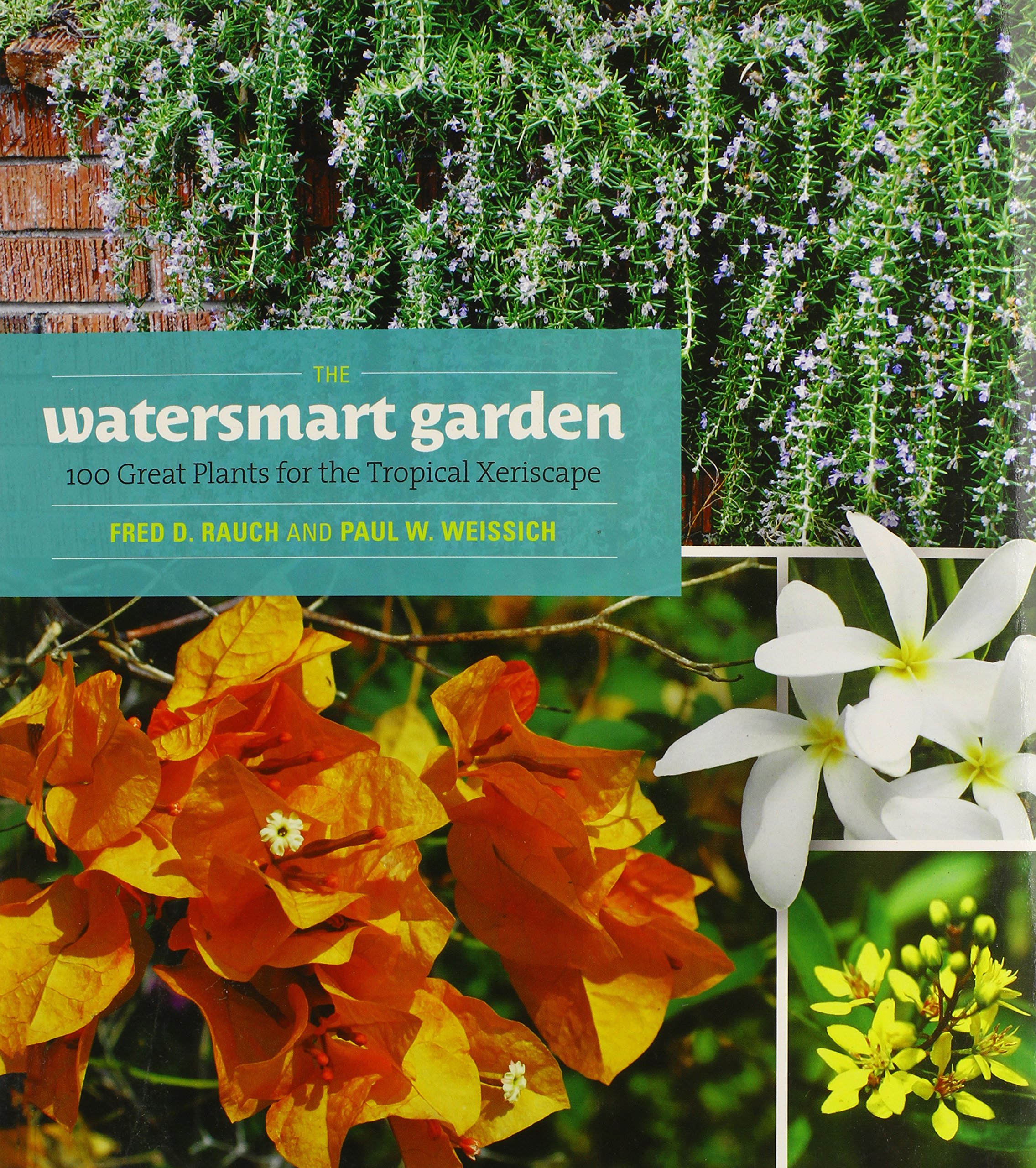 The Watersmart Garden: 100 Great Plants for the Tropical Xeriscape (Latitude 20)