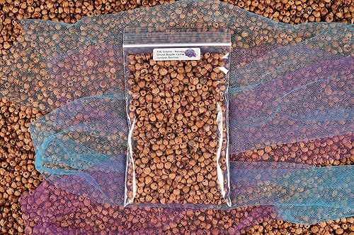 Miniatura 2 de 3.53 oz – Cuentas de espíritu fantasma navajo, semillas de cedro, enebro y bayas con agujeros (aproximadamente 540-640 cuentas)