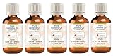 Greenwood Essential Olio naturale di camelia (Camelia kissi) spremuto a freddo, 100 ml x 5 (16,9 oz)