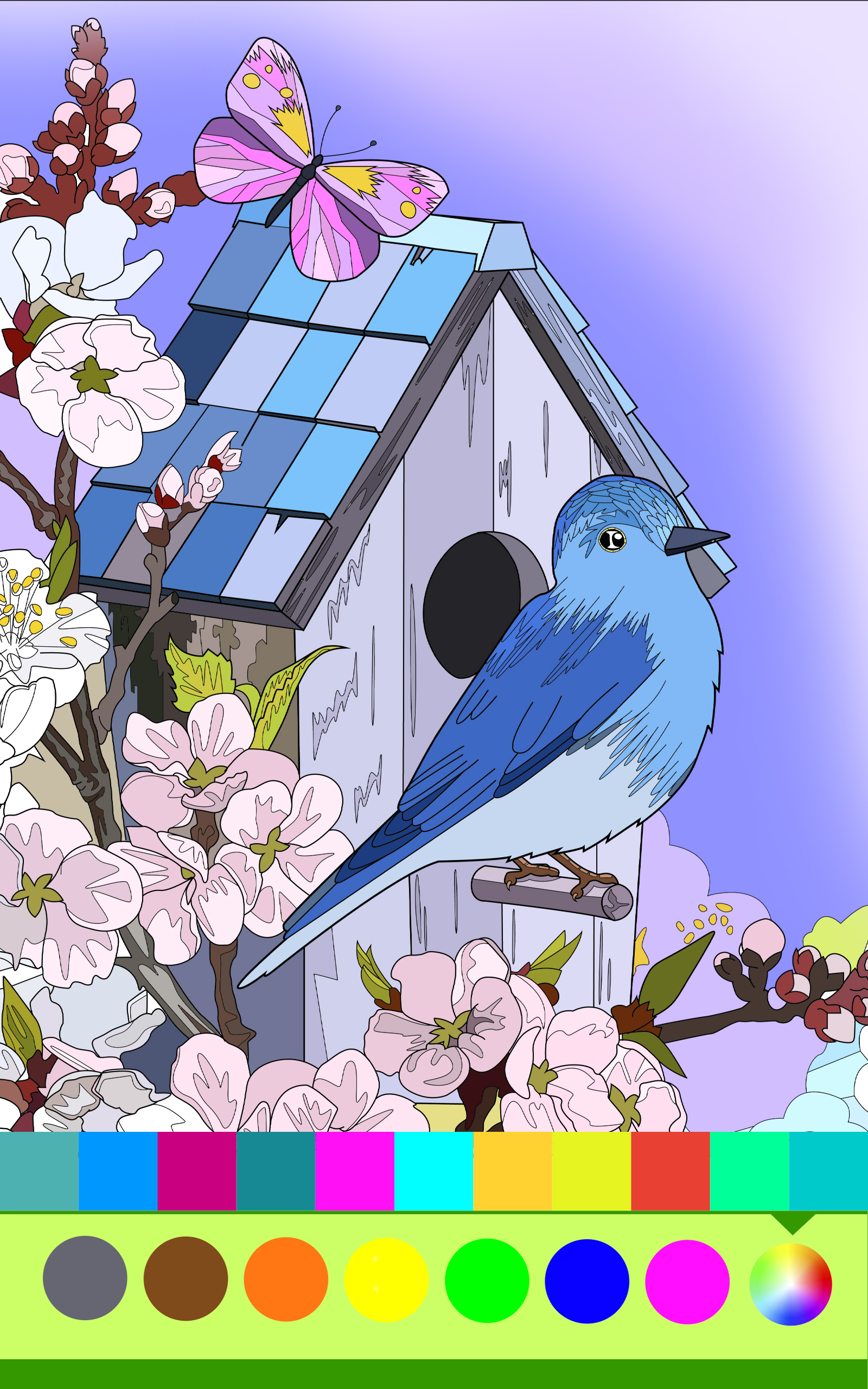 Birds Coloring Art Book For Adults Amazon in Appstore For Android birds-coloring-art-book-for-adults-amazon-in-appstore-for-android