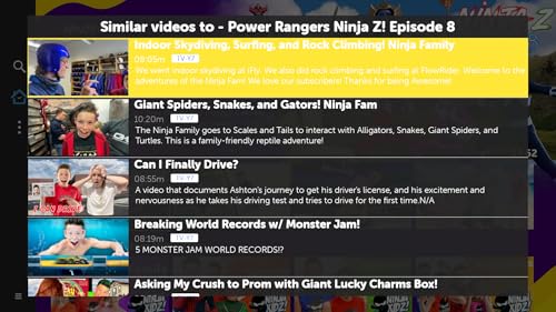 Ninja Kidz TV