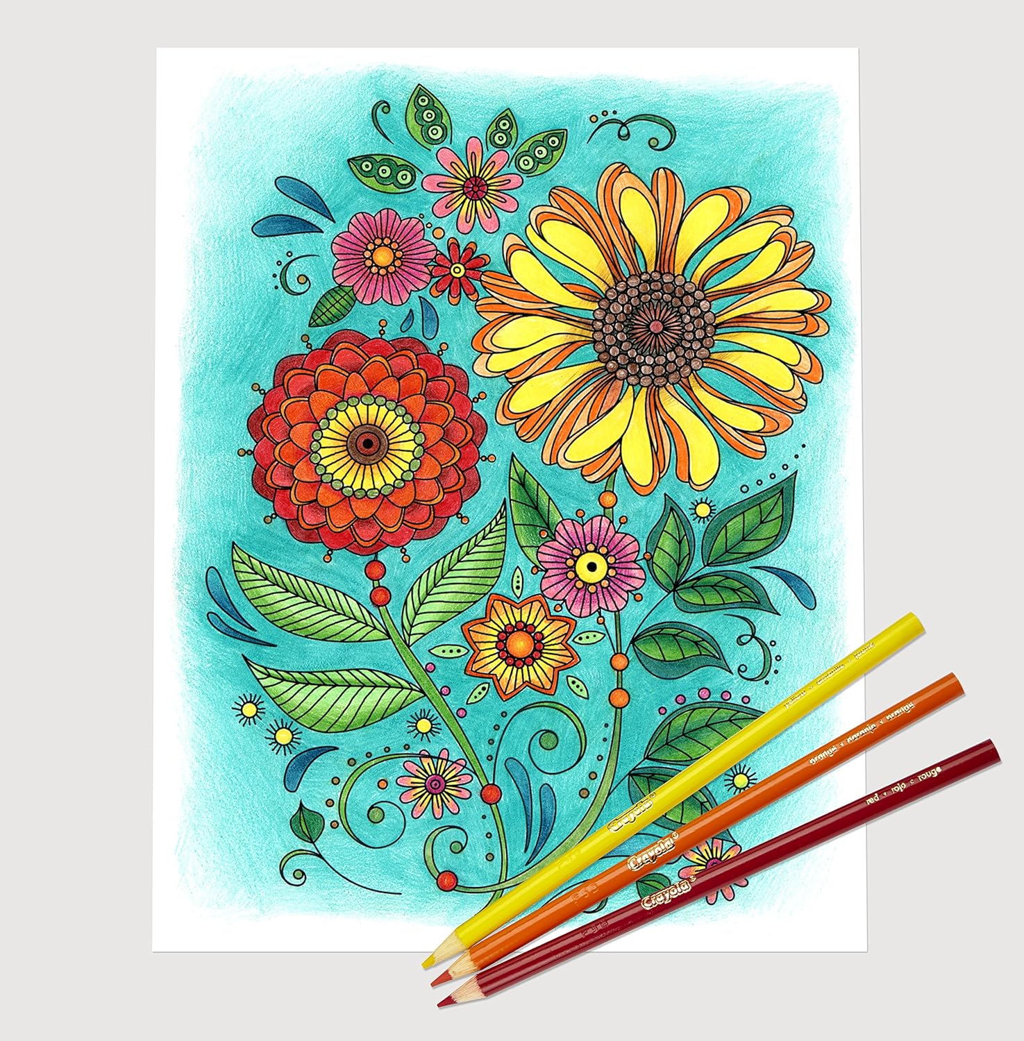 Crayola 68-4012 Colored Pencils, Long, 12-Count, Pack of 4, Assorted Colors : Office Products