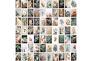 LIIGEMI 70PCS Neutral Wall Collage Kit Aesthetic Pictures